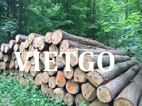 Gỗ keo tròn Vietgo